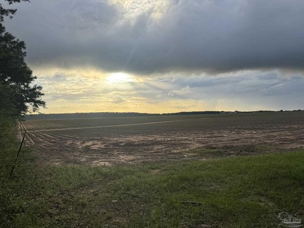 1 Old Stage Rd, Repton, AL 36475