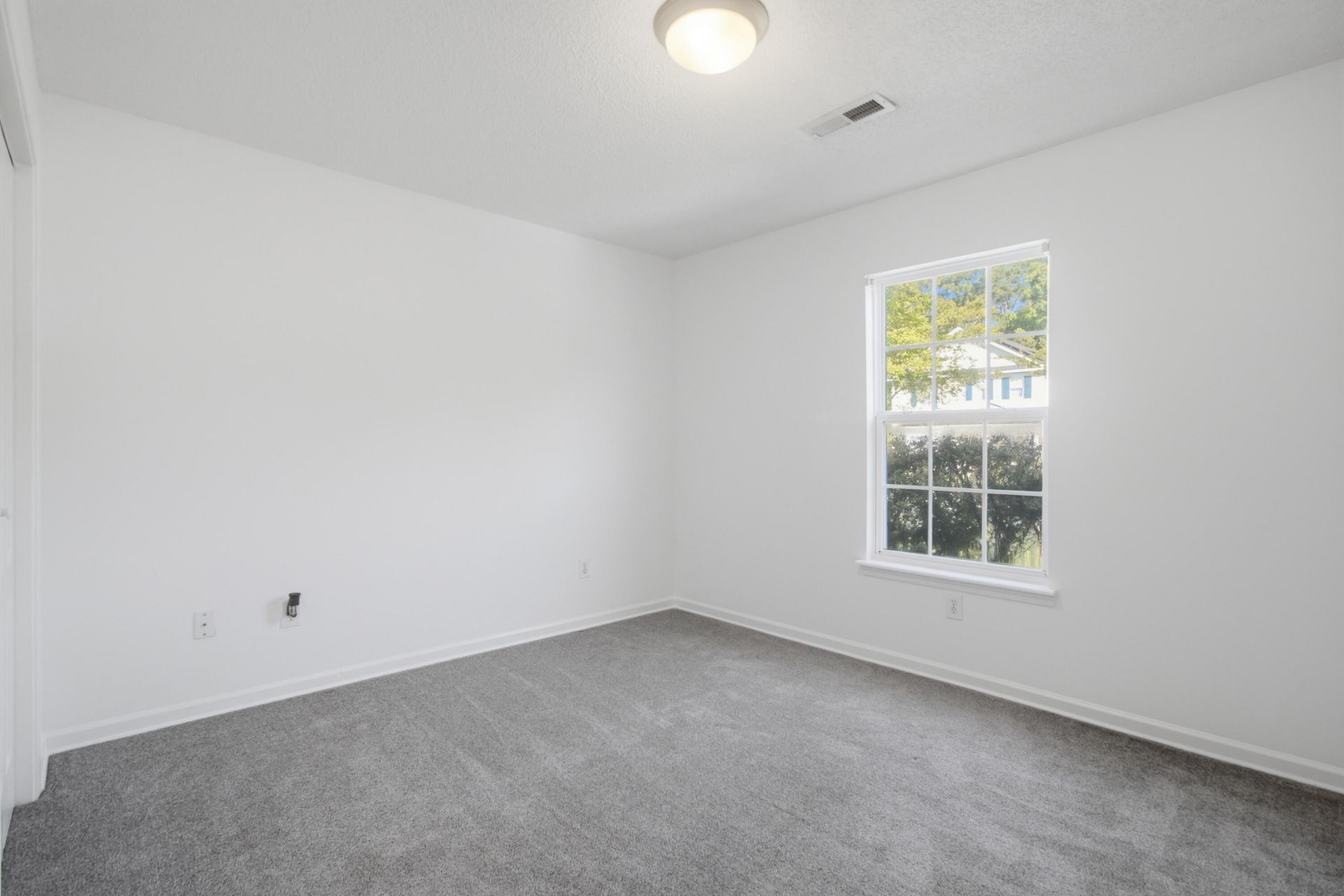 222 Savannah River Drive Photo 22