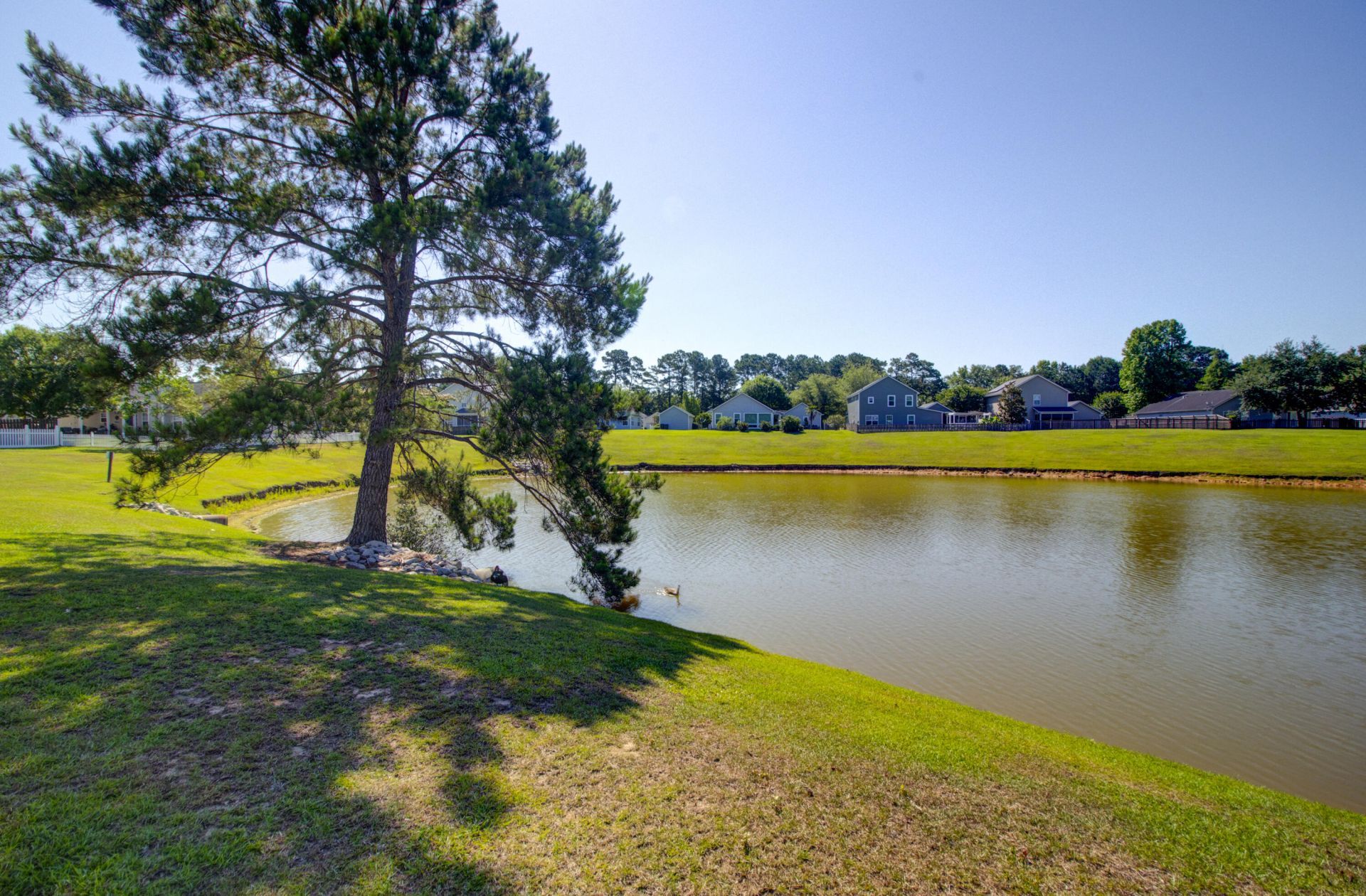 222 Savannah River Drive Photo 27