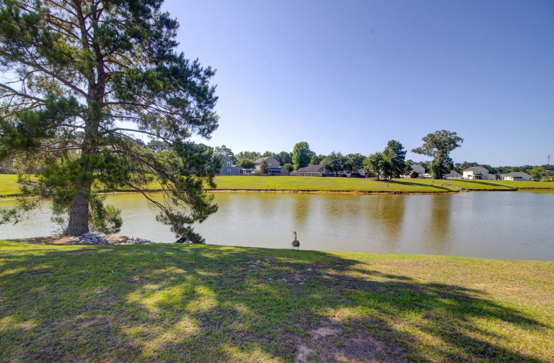 222 Savannah River Drive Photo 31