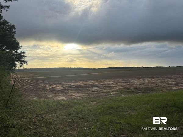 1 Old Stage Road, Repton, AL 36475