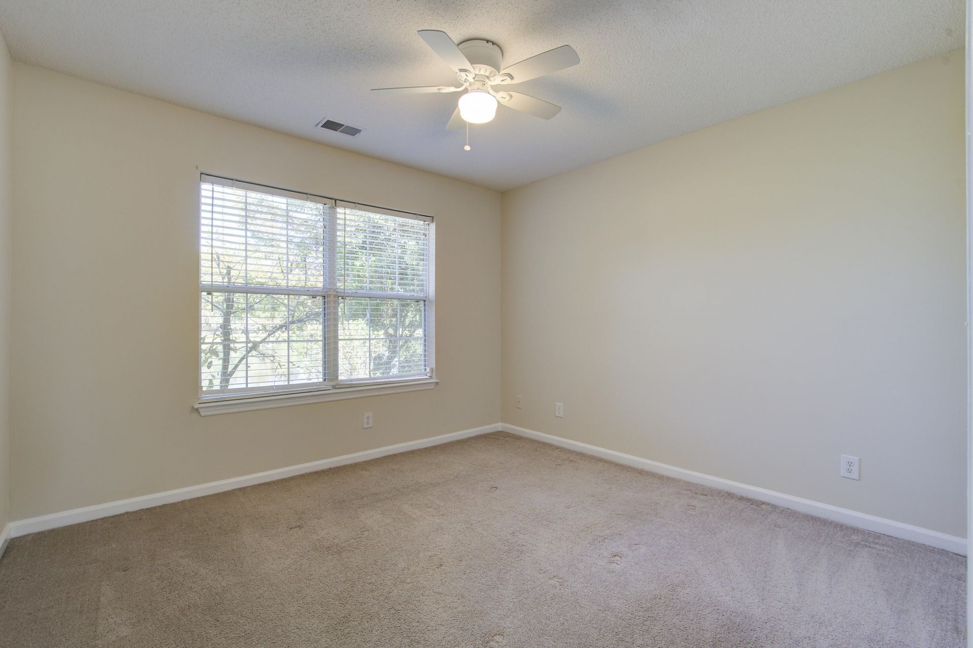 454 Hainesworth Drive Photo 19
