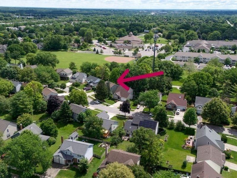 6844 Spruce Pine Drive, Columbus, OH 43235 Photo 59