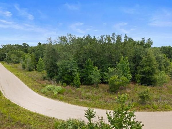 320 NE 748th Ave, Old Town, FL 32683
