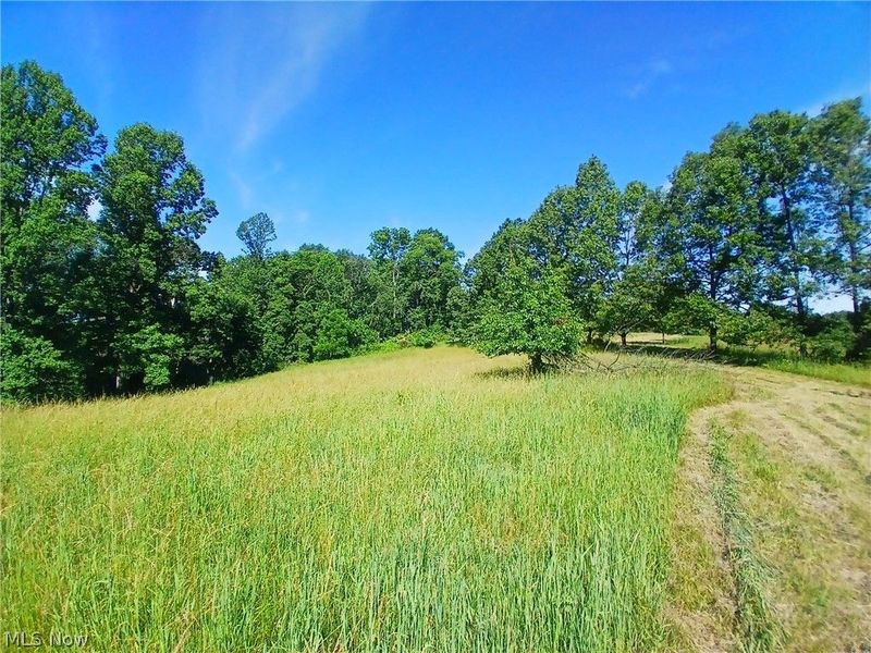868 Township Road 278 , Bergholz, OH 43908 Photo 12