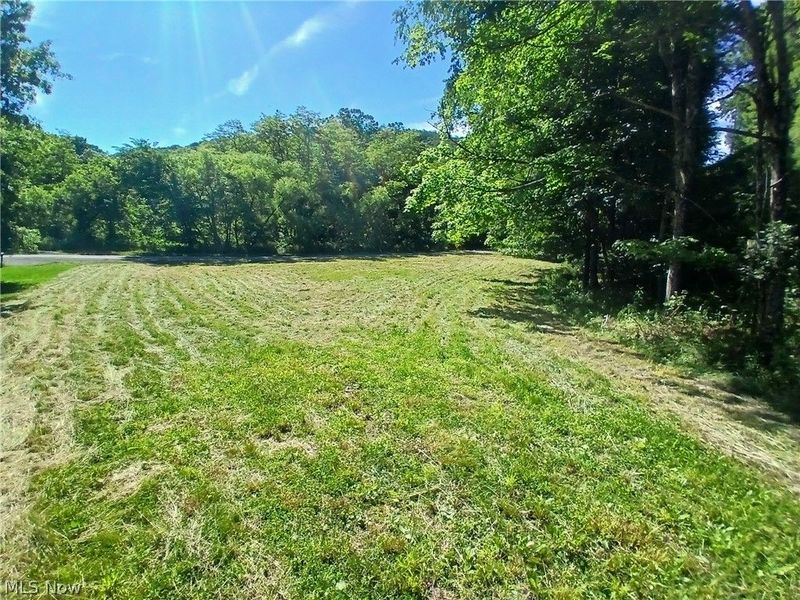 868 Township Road 278 , Bergholz, OH 43908 Photo 13