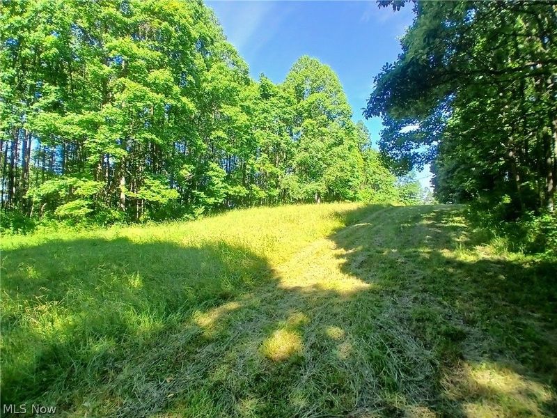 868 Township Road 278 , Bergholz, OH 43908 Photo 15