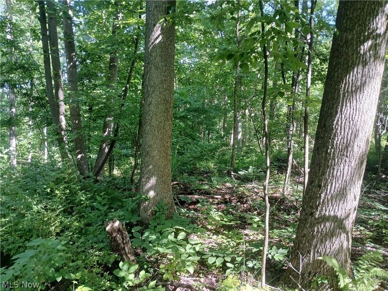 868 Township Road 278 , Bergholz, OH 43908 Photo 16