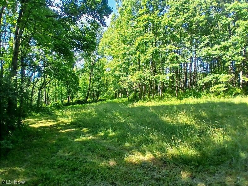 868 Township Road 278 , Bergholz, OH 43908 Photo 18