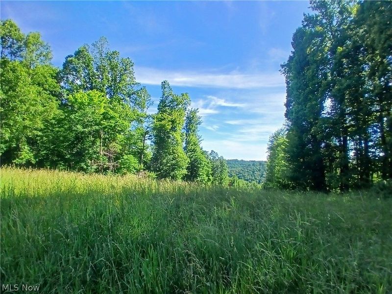 868 Township Road 278 , Bergholz, OH 43908 Photo 19