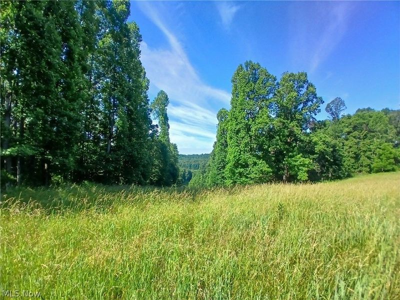 868 Township Road 278 , Bergholz, OH 43908 Photo 2