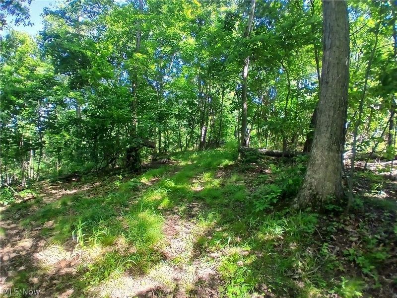 868 Township Road 278 , Bergholz, OH 43908 Photo 21