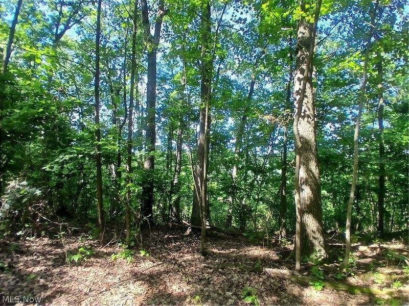 868 Township Road 278 , Bergholz, OH 43908 Photo 22
