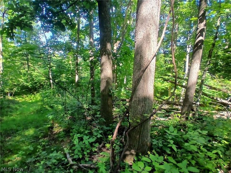 868 Township Road 278 , Bergholz, OH 43908 Photo 23