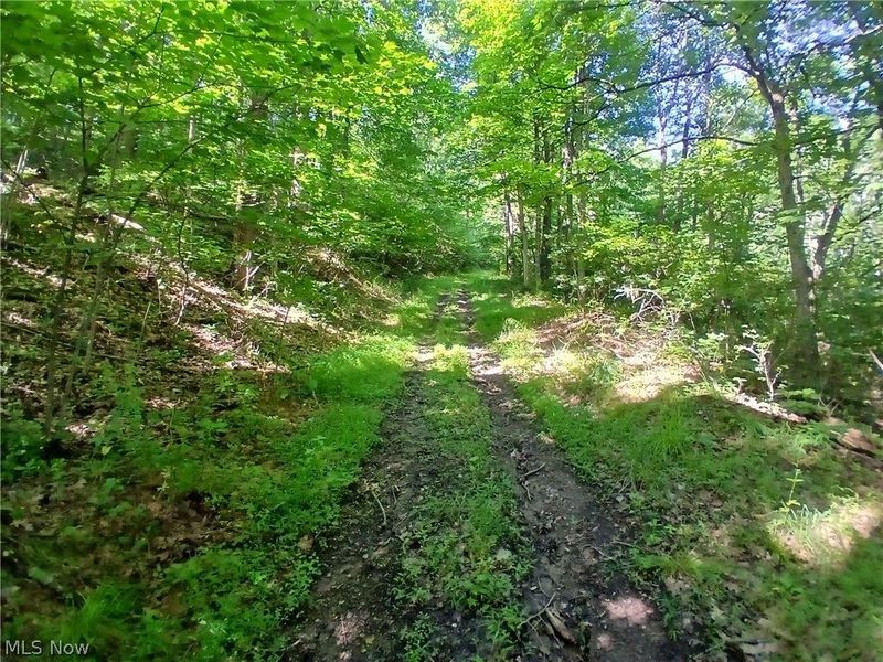 868 Township Road 278 , Bergholz, OH 43908 Photo 24