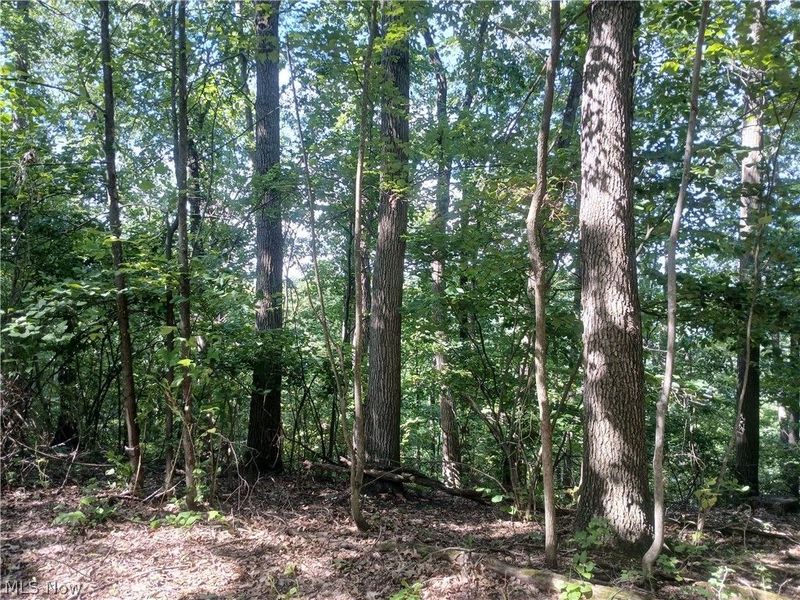 868 Township Road 278 , Bergholz, OH 43908 Photo 26