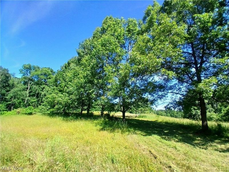 868 Township Road 278 , Bergholz, OH 43908 Photo 3