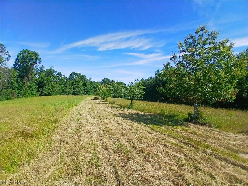 868 Township Road 278 , Bergholz, OH 43908 Photo 4