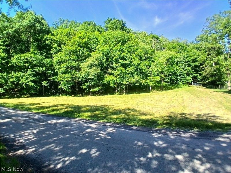 868 Township Road 278 , Bergholz, OH 43908 Photo 5