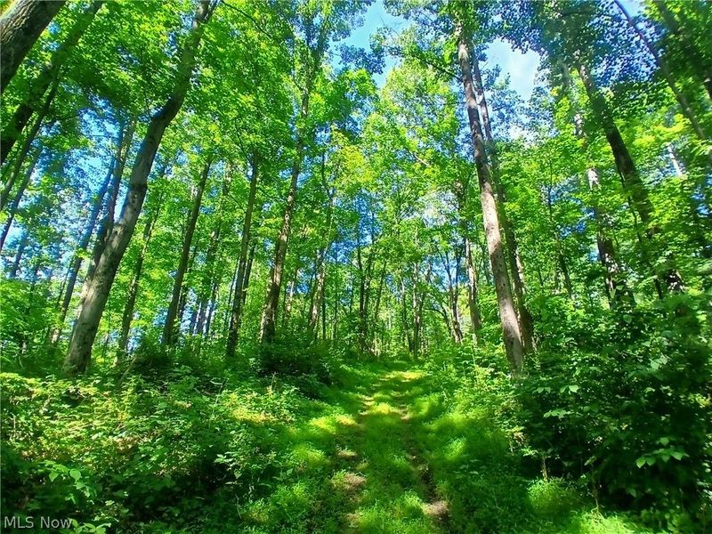 868 Township Road 278 , Bergholz, OH 43908 Photo 7