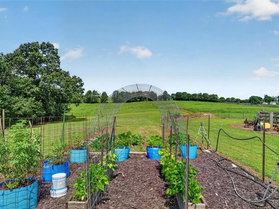 Property Image 44