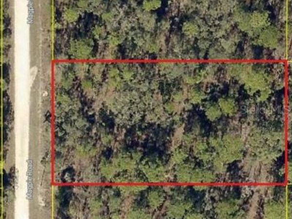 16026 MAGPIE ROAD , WEEKI WACHEE, FL 34614