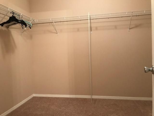 7003 Bellflower Lane Photo 21