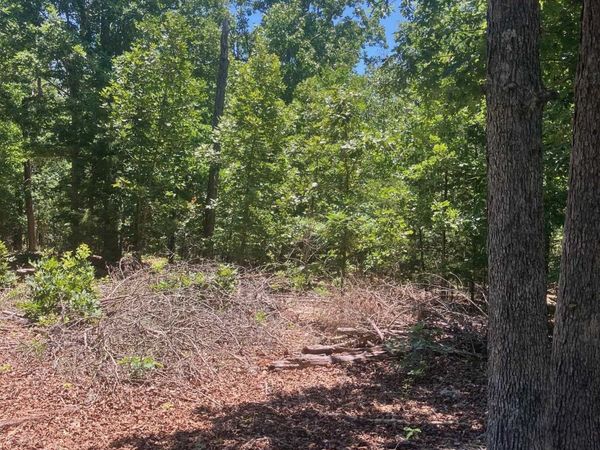 TBD Red Fox Road , Hardy, AR 72542