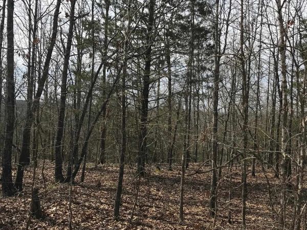 TBD Red Fox Road , Hardy, AR 72542