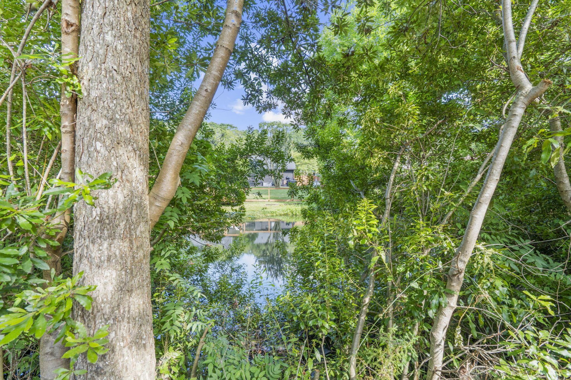 1677 Lauda Drive Photo 35
