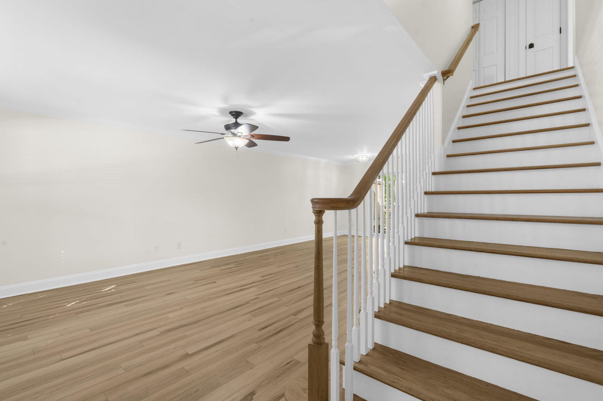 1677 Lauda Drive Photo 4