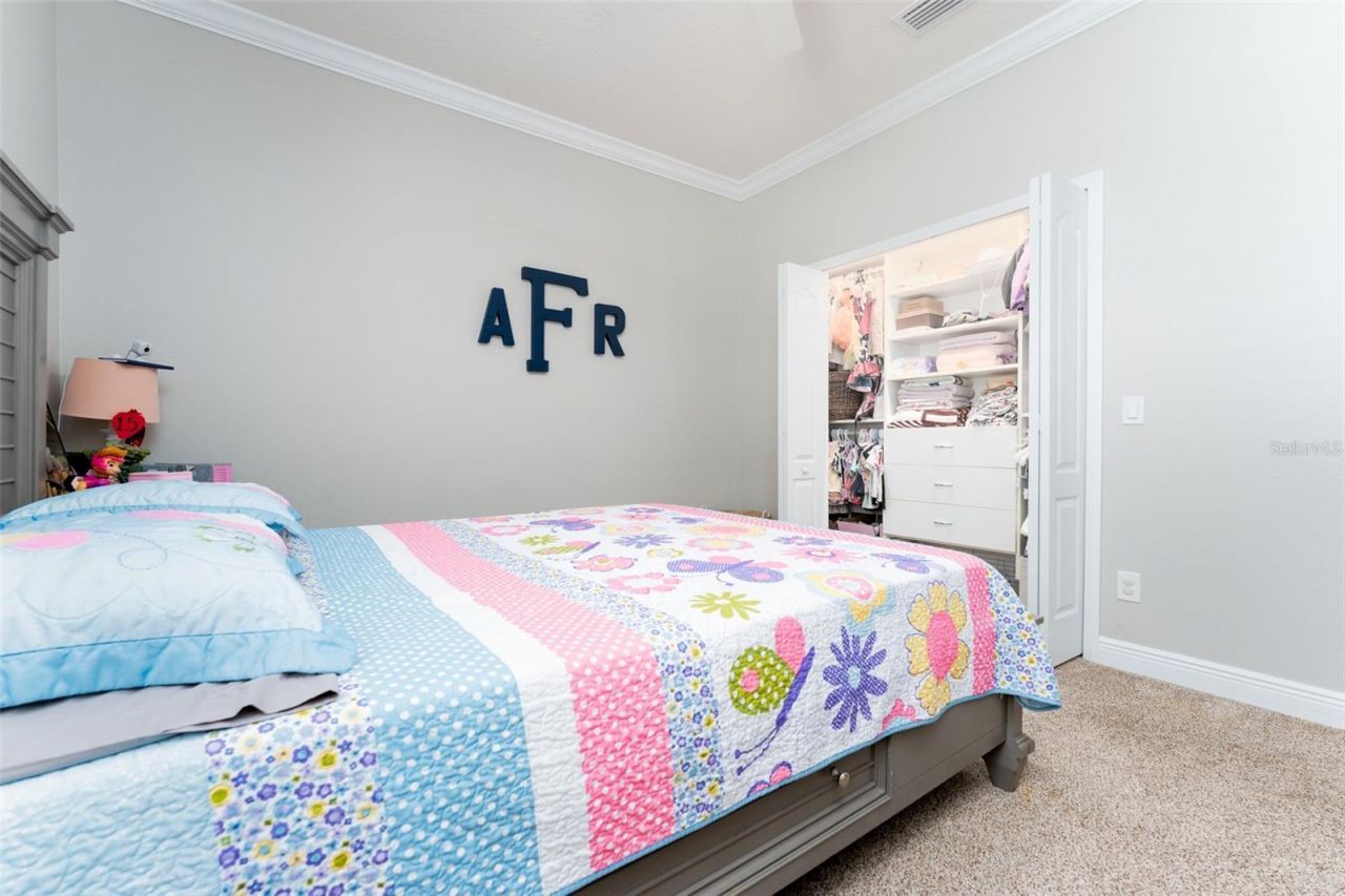 2226 Valterra Vista Way, Valrico, FL 33594 Photo
