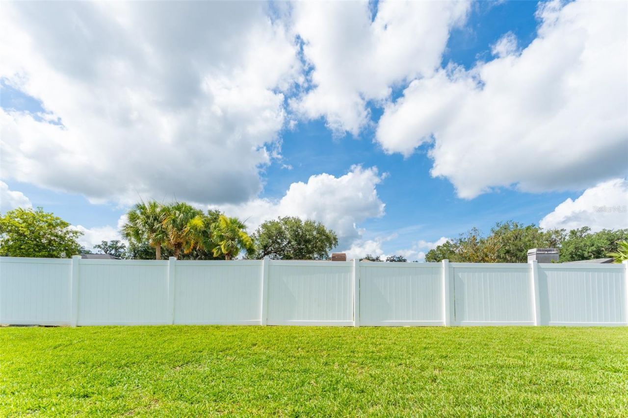 2226 Valterra Vista Way, Valrico, FL 33594 Photo