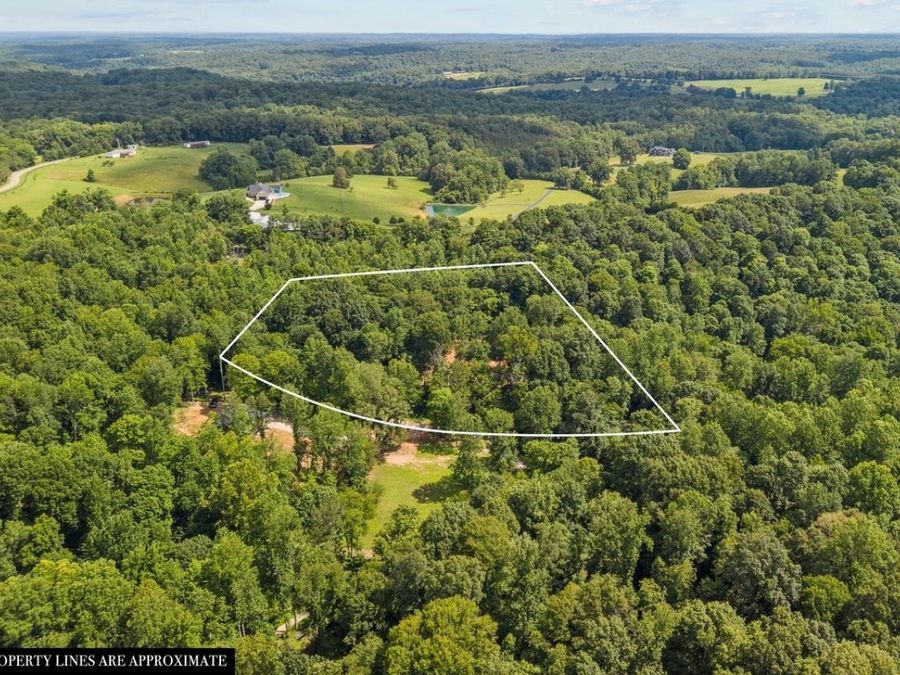 Property Image 4