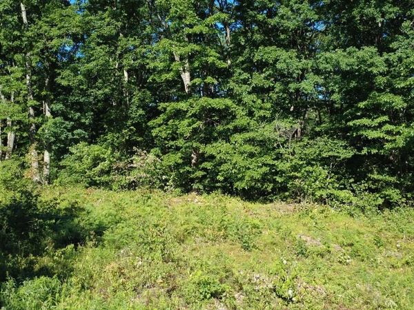 0 MAPLEWOOD DRIVE , PHILIPSBURG, PA 16866