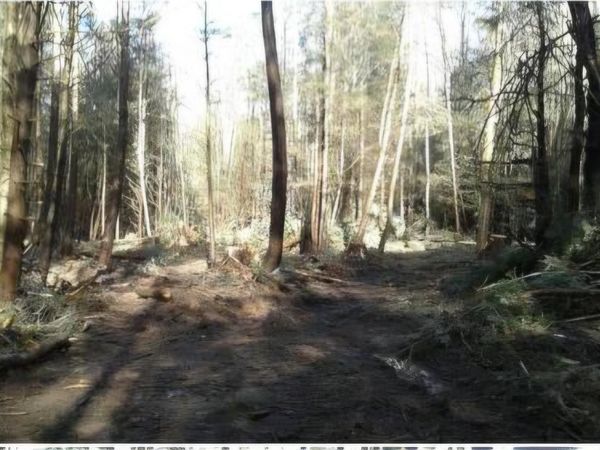Parks , White Sulphur Spring, NY 12787