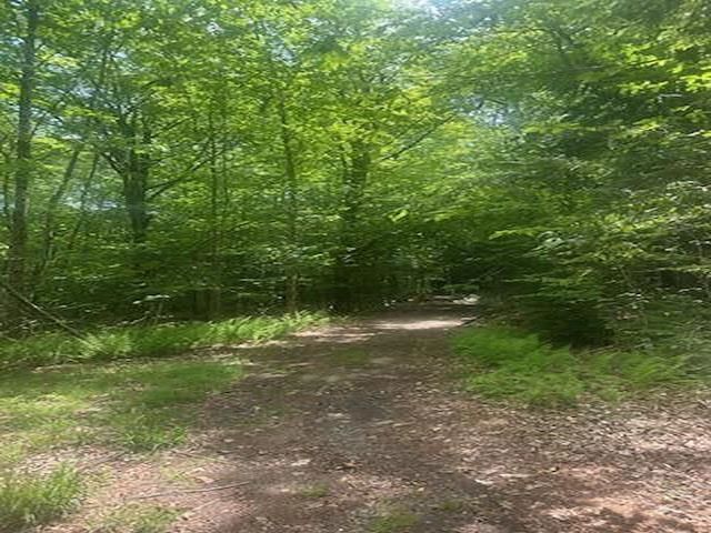 115 Deer Path Lane, Bridgewater, NH 03222 Main Photo