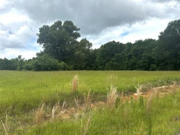 TBD Belles Lane , Brownsboro, TX 75756