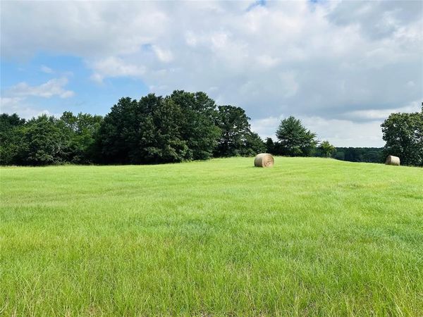 TBD Belles Lane , Brownsboro, TX 75756