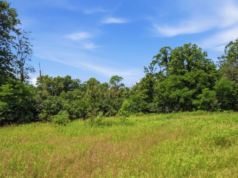 3752 Todds Run Foster Road, Williamsburg, OH 45176 Photo 17
