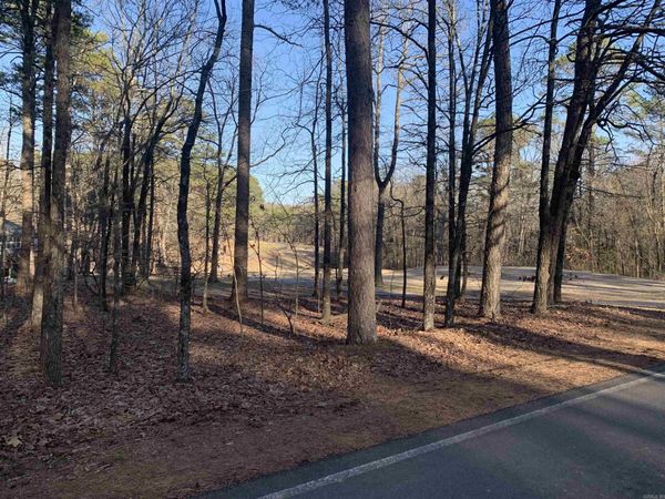 11 Castle Ridge Heights , Fairfield Bay, AR 72088
