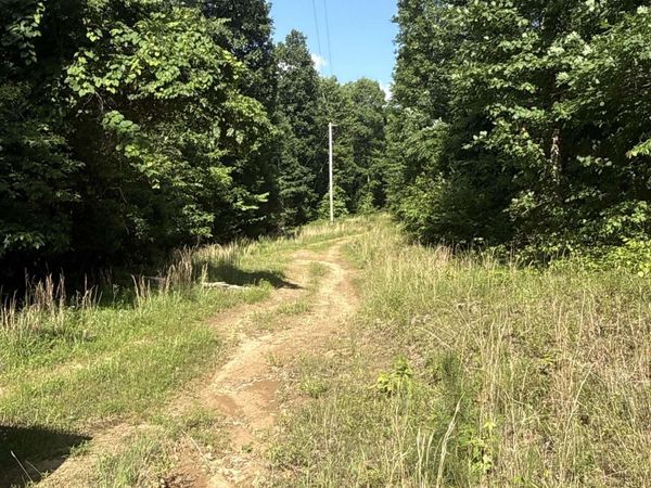 00 Peyton Mountain Road , Dennard, AR 72629
