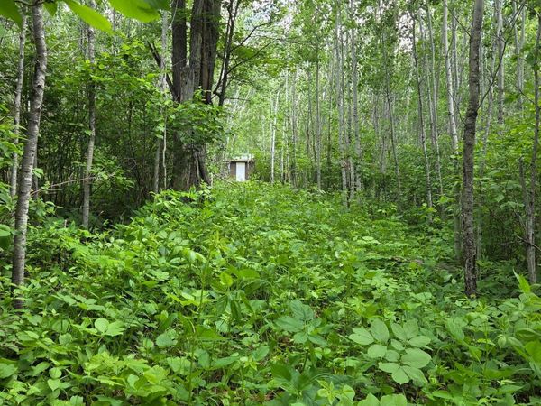 XXX MT Nelson Rd , Mahtowa, MN 55707
