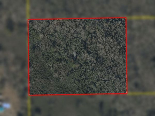 SW US 221 , Greenville, FL 32331