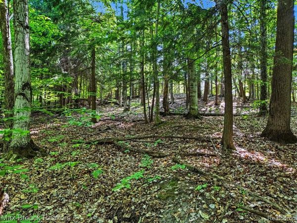 125 Legend Trail , Custer Twp, MI 49615