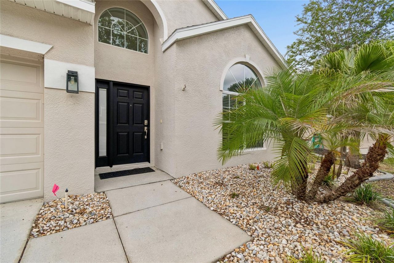 12155 Infinity Drive , New Port Richey, FL 34654 Photo