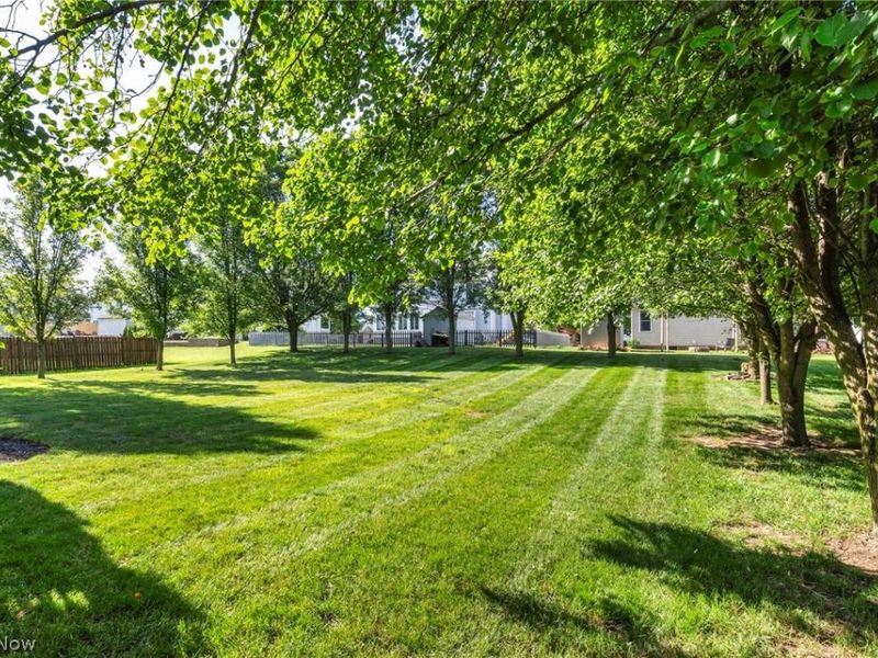 150 W Greenwich Road, Seville, OH 44273 Photo 43