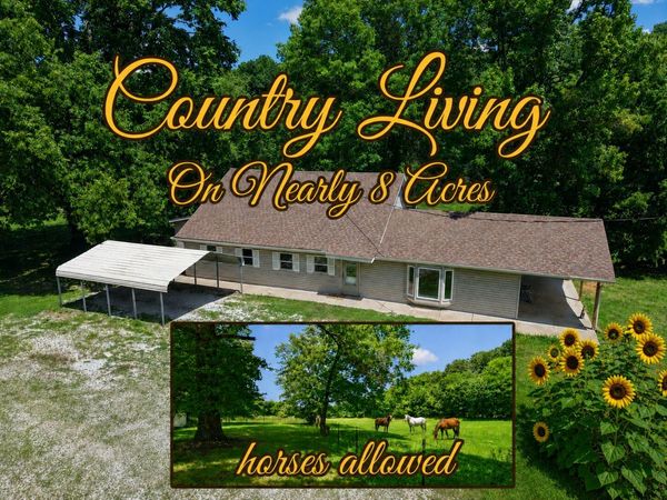533 Ghan Road , Clever, MO 65631