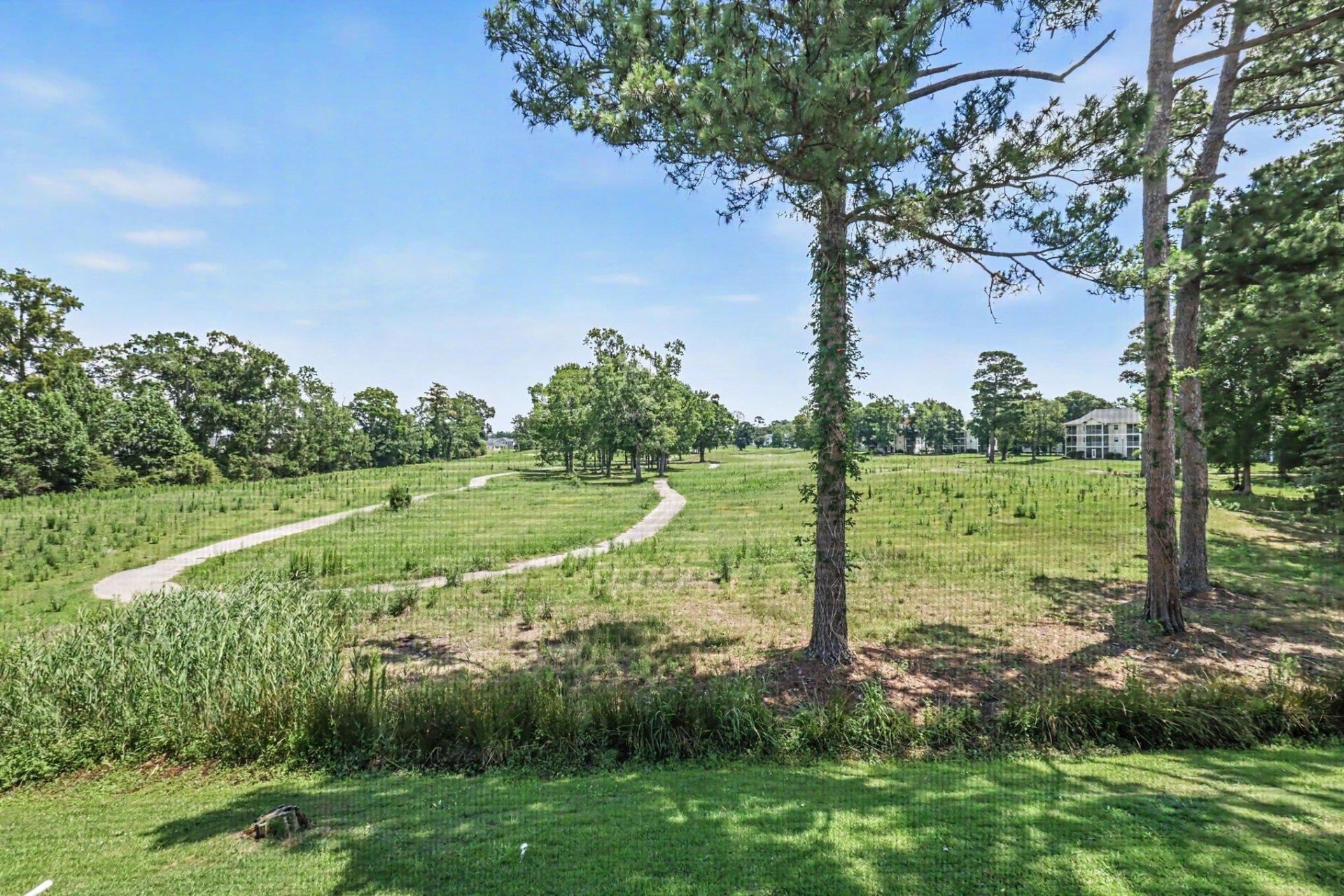 461 Red River Ct.  Photo 25