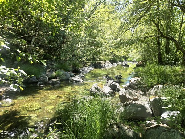3901 Placer Road, Sunny Valley, OR 97497